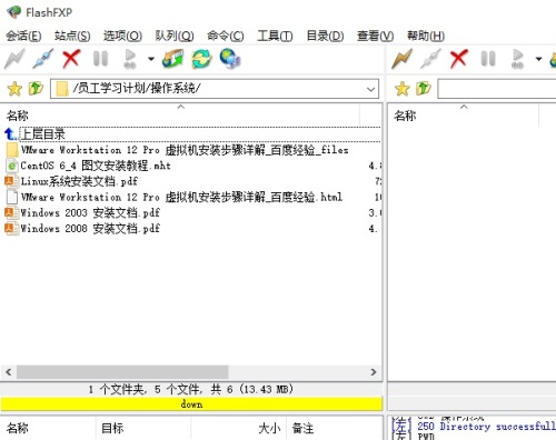 flashfxp文件和文件名中文乱码怎么办?